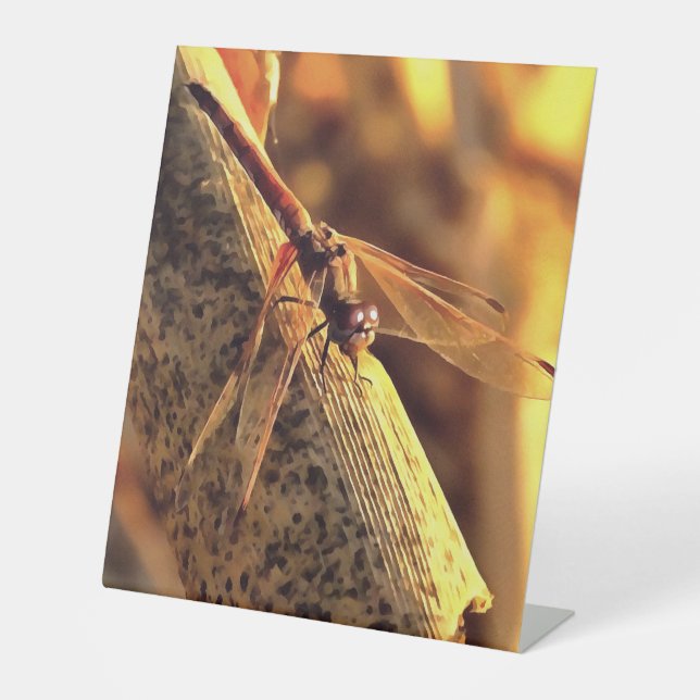 Expositor En L 534424932Elegante Red Darter Dragonfly Insect Art (Anverso)