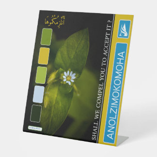 EXPOSITOR EN L ANOLZIMOKOMOHA