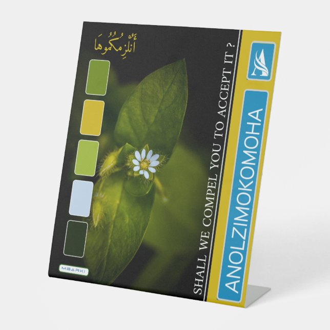 EXPOSITOR EN L ANOLZIMOKOMOHA (Anverso)