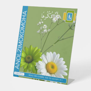 EXPOSITOR EN L ANOLZIMOKOMOHA