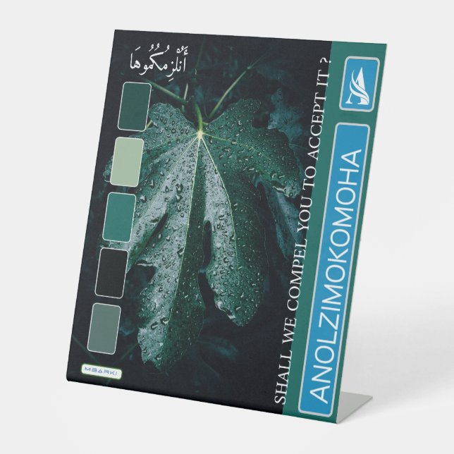 EXPOSITOR EN L ANOLZIMOKOMOHA (Anverso)