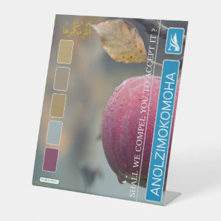 EXPOSITOR EN L ANOLZIMOKOMOHA