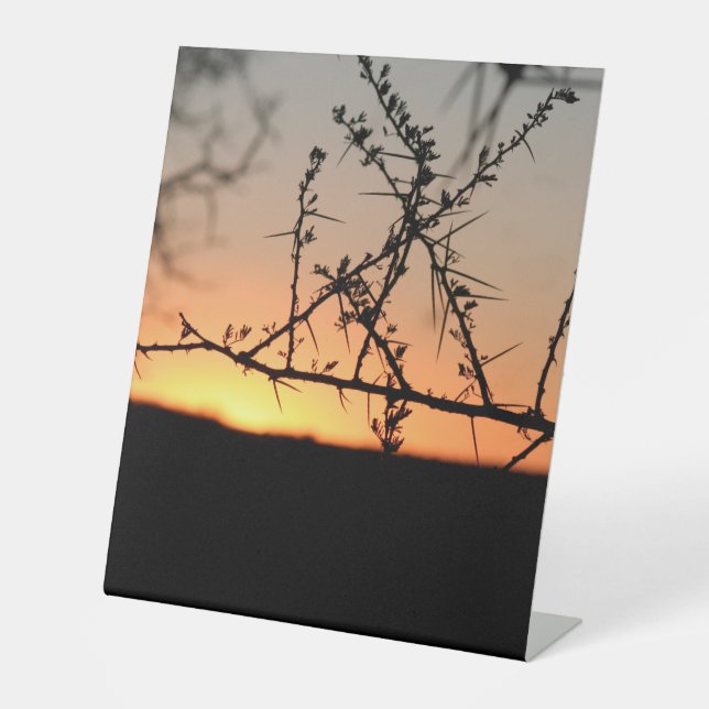 Expositor En L Atardecer africano con espinosa silueta de árbol d (Anverso)