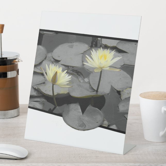 Expositor En L Bloom más allá del marco (In Situ)