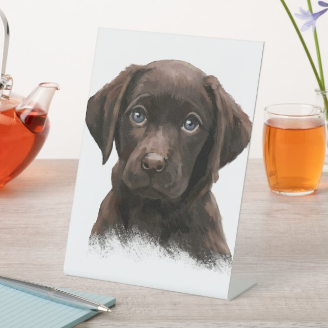 Expositor En L Cachorro de chocolate Labrador (In Situ)