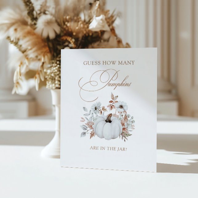 Expositor En L Calabaza Blanca Caída Adivina Cuántas Calabazas (Subido por el creador)