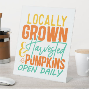 Expositor En L Calabazas cultivadas y cosechadas localmente