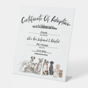 Expositor En L Certificado de Adopción de Papúa para Mascota Fami