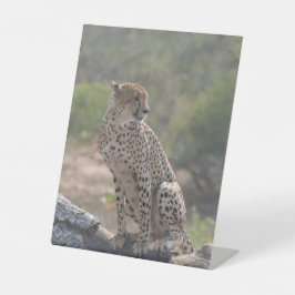 Expositor En L Cheetah