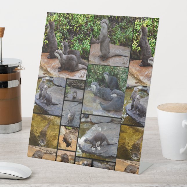 Expositor En L Collage de fotos Otter, (In Situ)