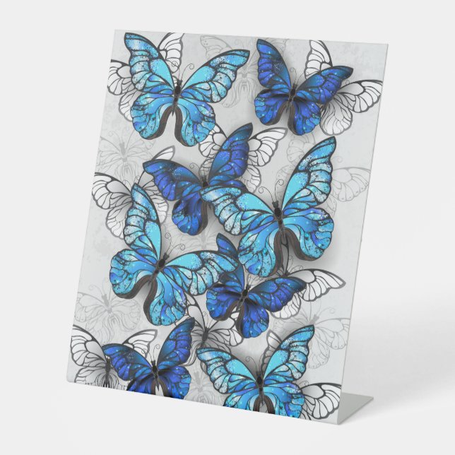 Expositor En L Composición de las mariposas blancas y azules (Anverso)