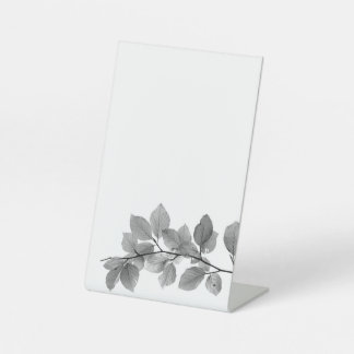 Expositor En L Comprimido