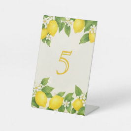 Expositor En L Cumpleaños del limón acuarela