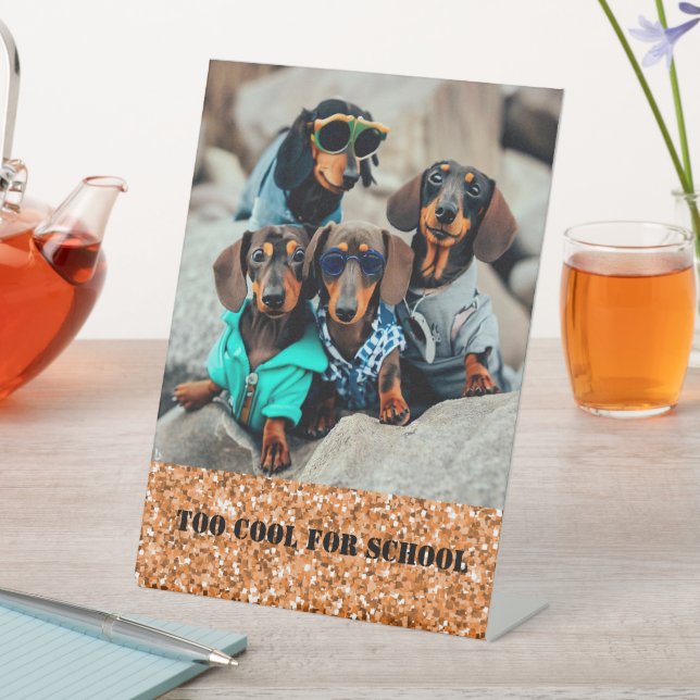 Expositor En L Demasiado Guay para la banda Dachshund (In Situ)