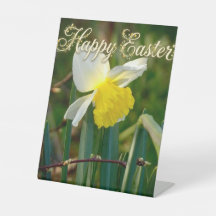 Deseos de narciso y Pascua