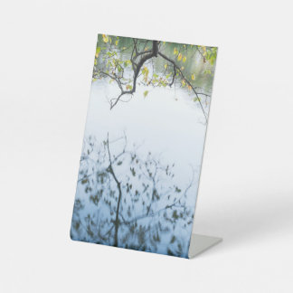 EXPOSITOR EN L DISEÑO NATURAL