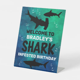 Expositor En L El Tiburón Infestó Cualquier Noche De Bienvenida D