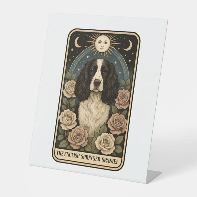 Expositor En L English Springer Spaniel (Anverso)