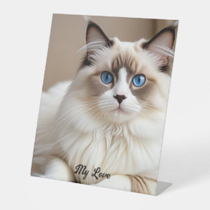 Expositor En L Estandarte personalizable de gato mascota lindo
