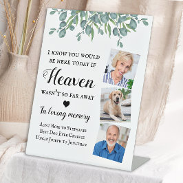 Expositor En L Eucalyptus Love Memory 3 Boda de memoria fotográfi