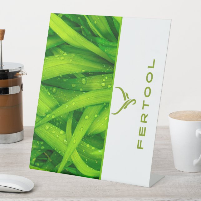 EXPOSITOR EN L FERTOOL (In Situ)