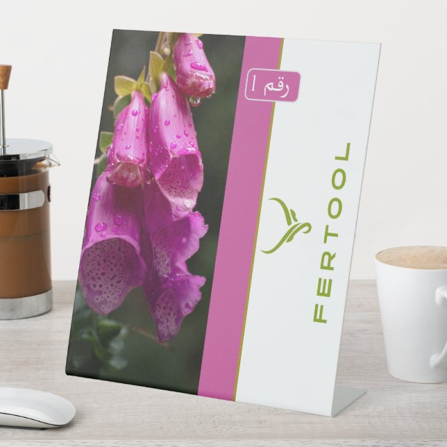 EXPOSITOR EN L FERTOOL (In Situ)