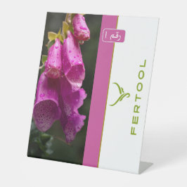 EXPOSITOR EN L FERTOOL