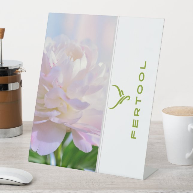 EXPOSITOR EN L FERTOOL (In Situ)