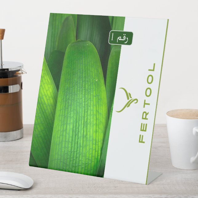 EXPOSITOR EN L FERTOOL (In Situ)