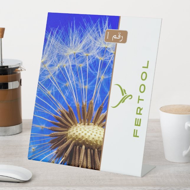 EXPOSITOR EN L FERTOOL (In Situ)