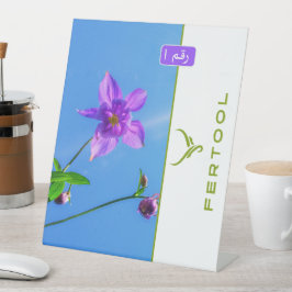 EXPOSITOR EN L FERTOOL
