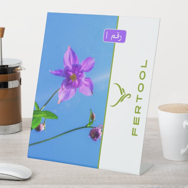 EXPOSITOR EN L FERTOOL (In Situ)