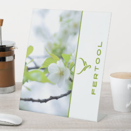 EXPOSITOR EN L FERTOOL