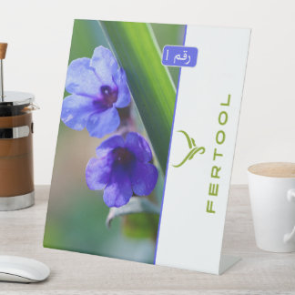 EXPOSITOR EN L FERTOOL