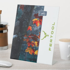 EXPOSITOR EN L FERTOOL