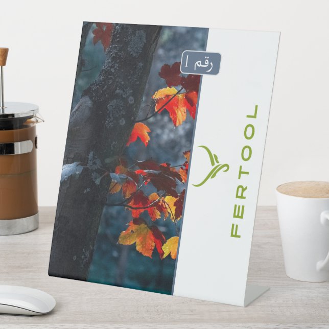 EXPOSITOR EN L FERTOOL (In Situ)