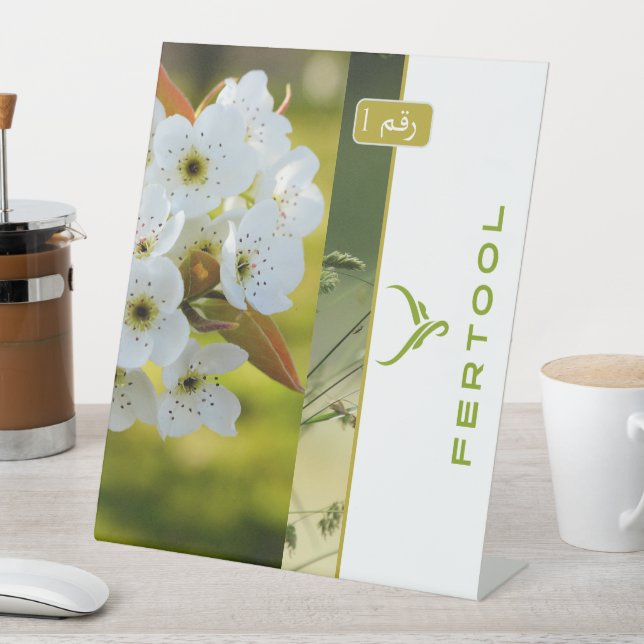 EXPOSITOR EN L FERTOOL (In Situ)