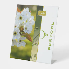 EXPOSITOR EN L FERTOOL