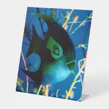 Fish Gibney El Museo Zazzle