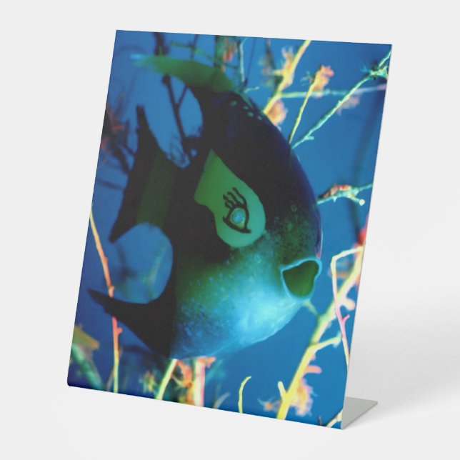 Expositor En L Fish Gibney El Museo Zazzle (Anverso)