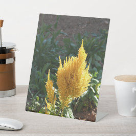 Expositor En L Flor de Astilbe amarillo