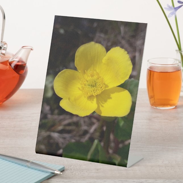 Expositor En L Flor de jardín amarilla (In Situ)