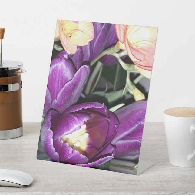 Expositor En L Flor morada (In Situ)