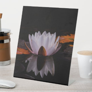 Expositor En L Flor Zen White Lotus