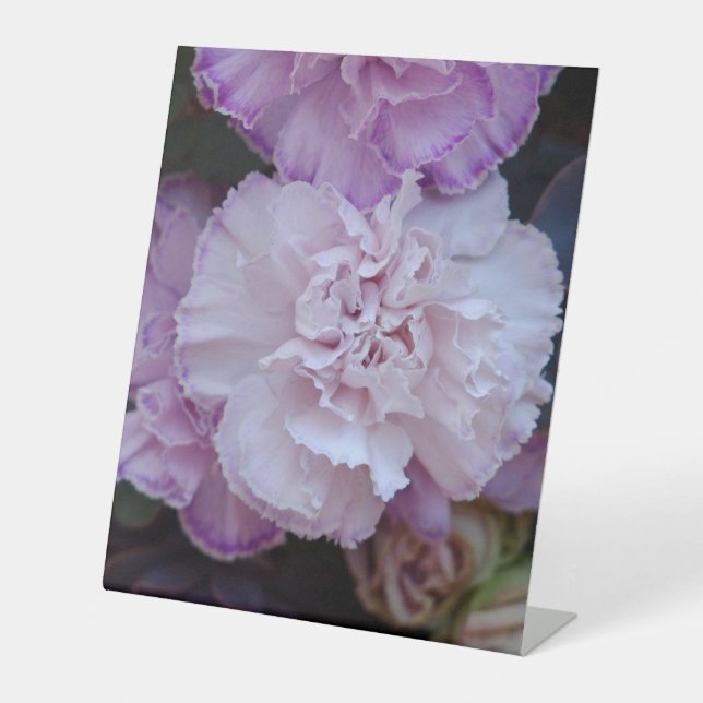 Expositor En L Flores (Anverso)