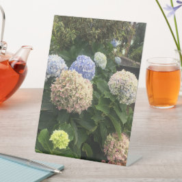 Expositor En L Flores de jardín