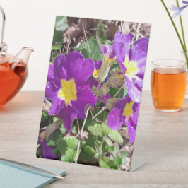 Expositor En L Flores de jardín morado