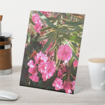 Flores rosas en el árbol