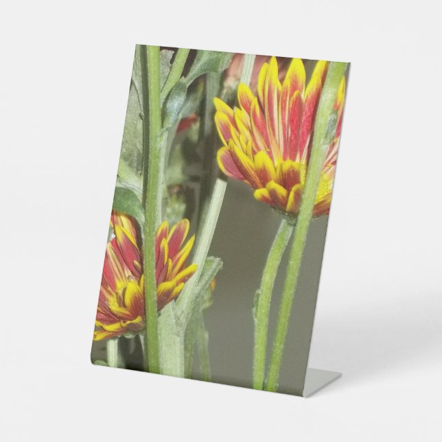 Expositor En L Flowers Photo (Anverso)