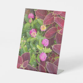 Expositor En L Flowers Photo